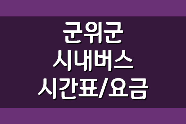  군위군 시내버스 시간표 및 요금 정보 (농어촌버스)
