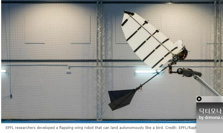 EPFL&#44; 새처럼 자율적으로 착륙하는 윙 로봇 개발 VIDEO:Fully Autonomous Outdoor Flight of Flapping Wing Robot
