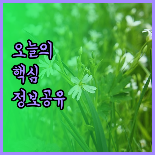 상하이 숙소 고민 끝 래디슨 컬렉션과