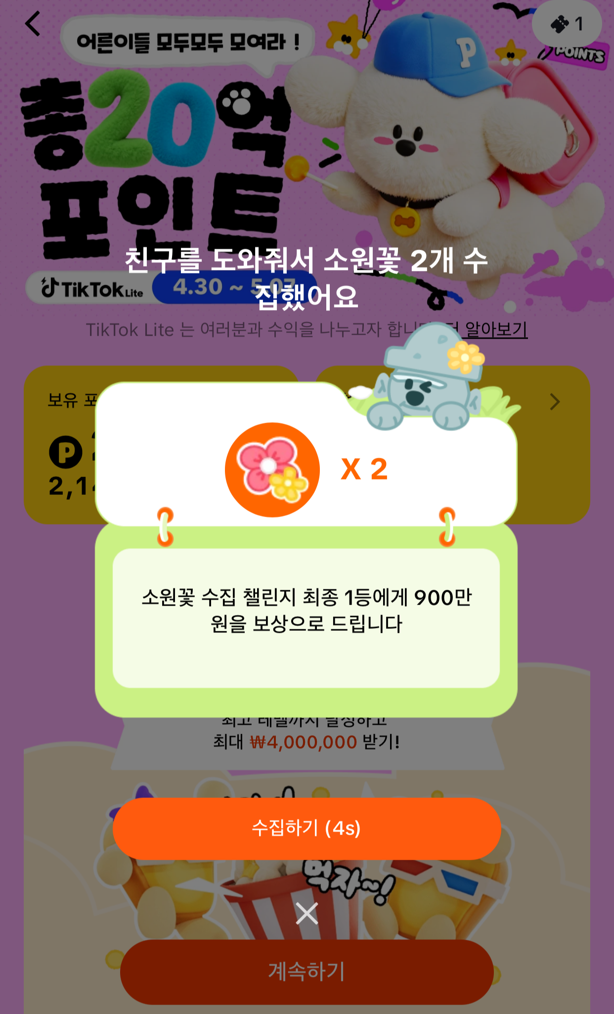 틱톡라이트-소원꽃챌린지
