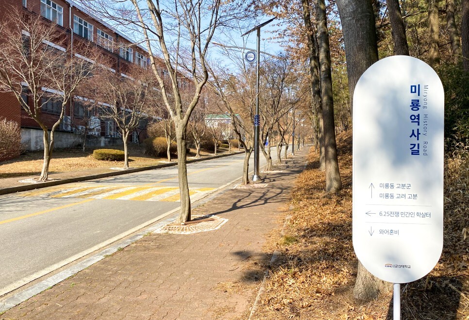 미룡 이미지