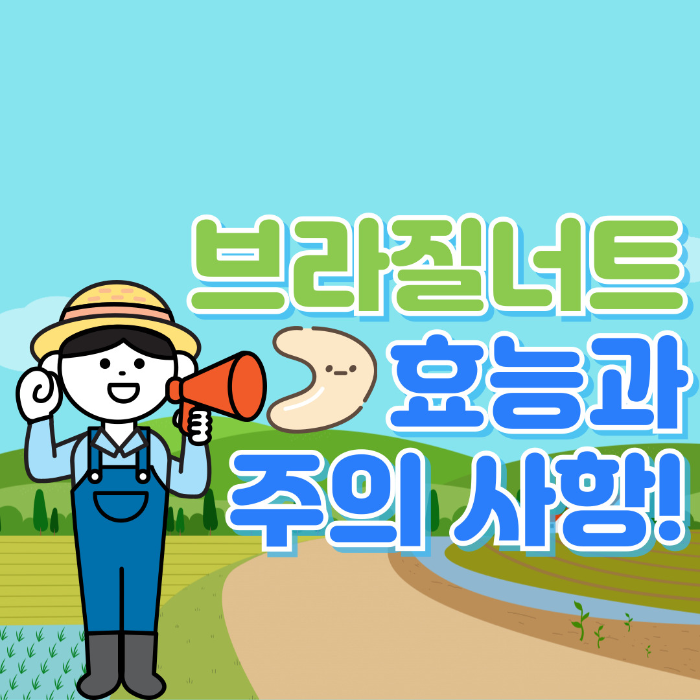  브라질너트 효능, 주의 사항 알아보기!