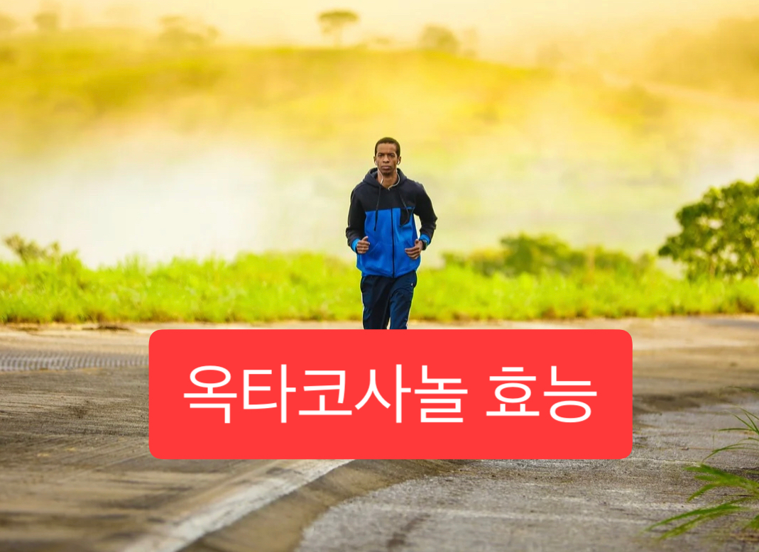  옥타코사놀 효능 6가지