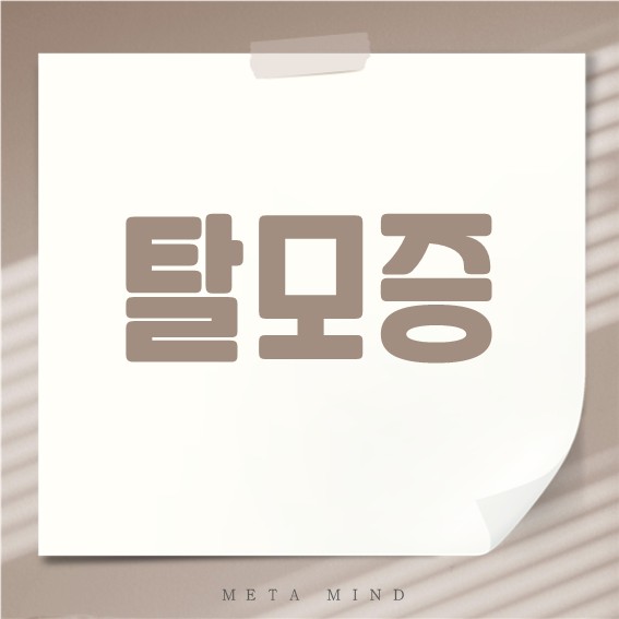 탈모증 완벽 정리: 증상, 종류, 치료, 예방까지