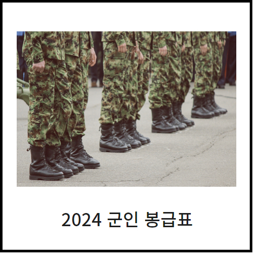  2024 군인 봉급표 월급 확인하기