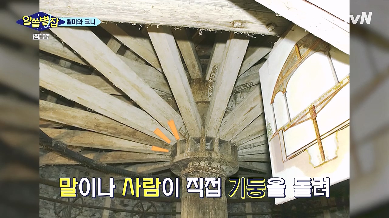 알쓸별잡.E05.230832p-NEXT.mp4_20230902_172248.038.jpg
