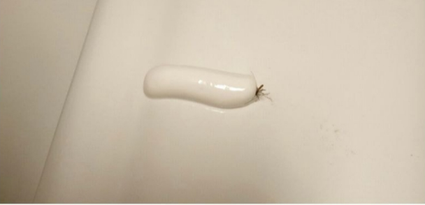  모기잡는 꿀팁