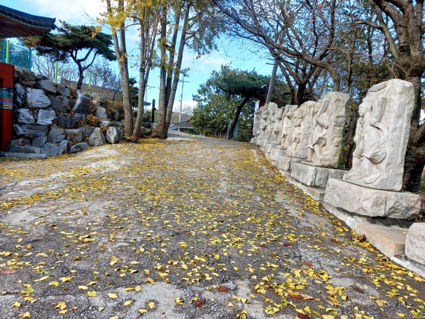 img.jpg