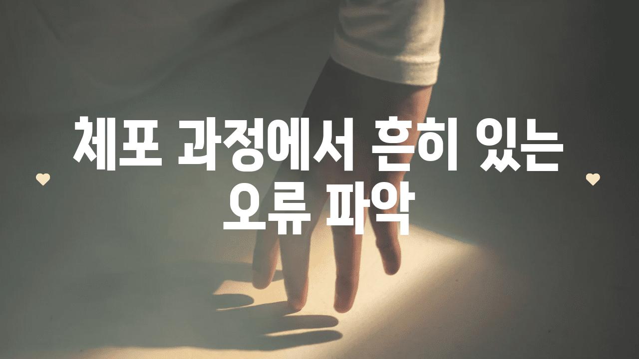 체포 과정에서 흔히 있는 오류 파악