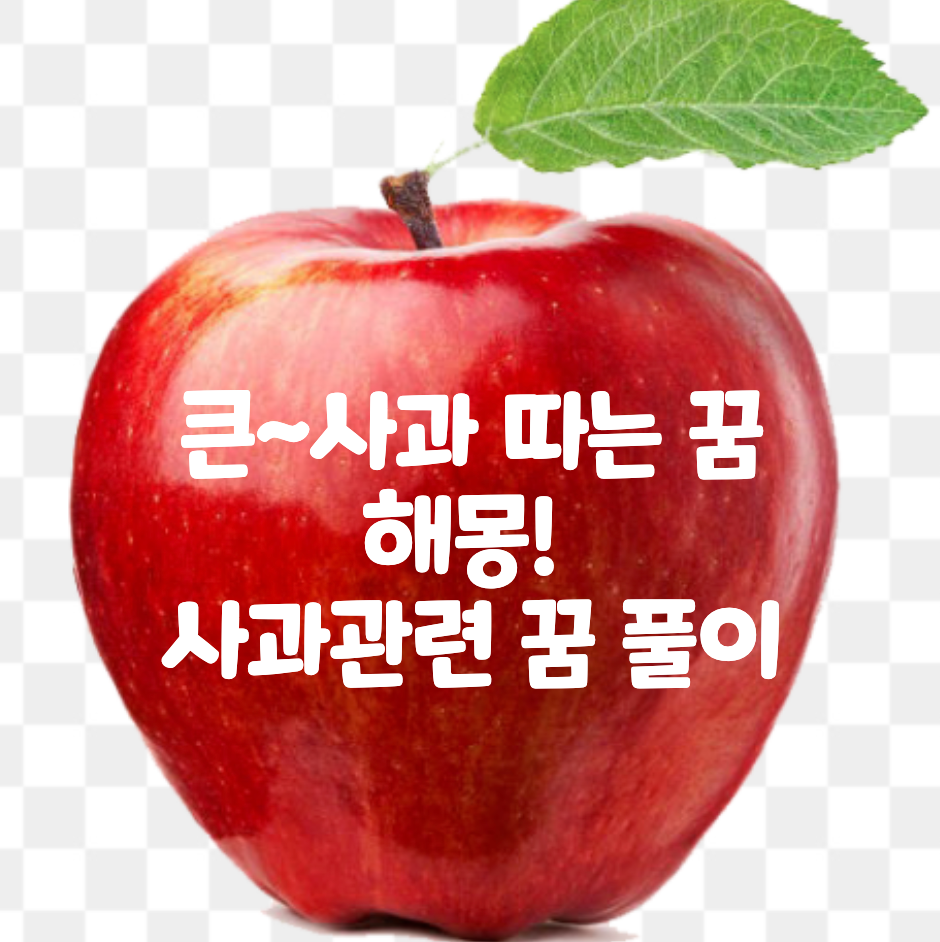  큰 사과 따는 꿈 해몽! 사과 관련된 꿈해몽 풀이 해볼게요