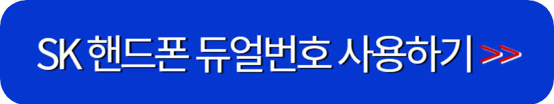 Sk-핸드폰-듀얼번호-사용하기-링크-버튼