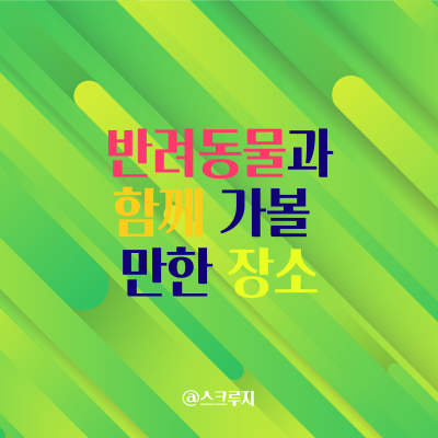 한국 관광 공사 선정 반려 동물과 함께 7월 꼭 가볼 만한 곳 top 5