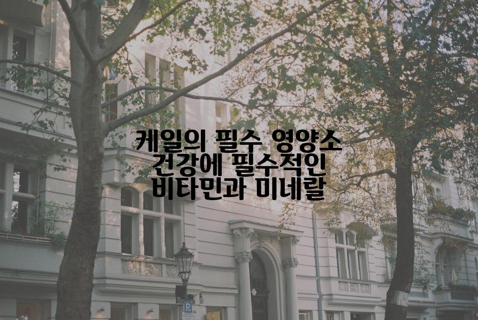케일의 필수 영양소 건강에 필수적인 비타민과 미네랄