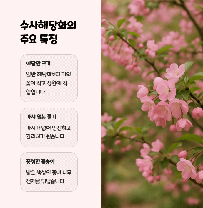 수사해당화