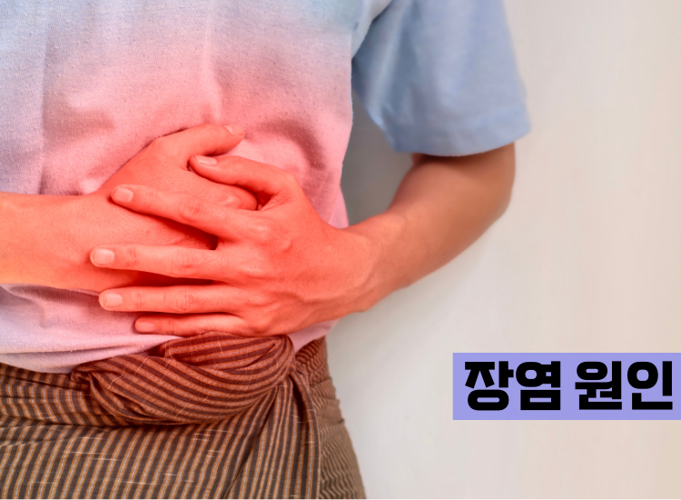 장염 원인