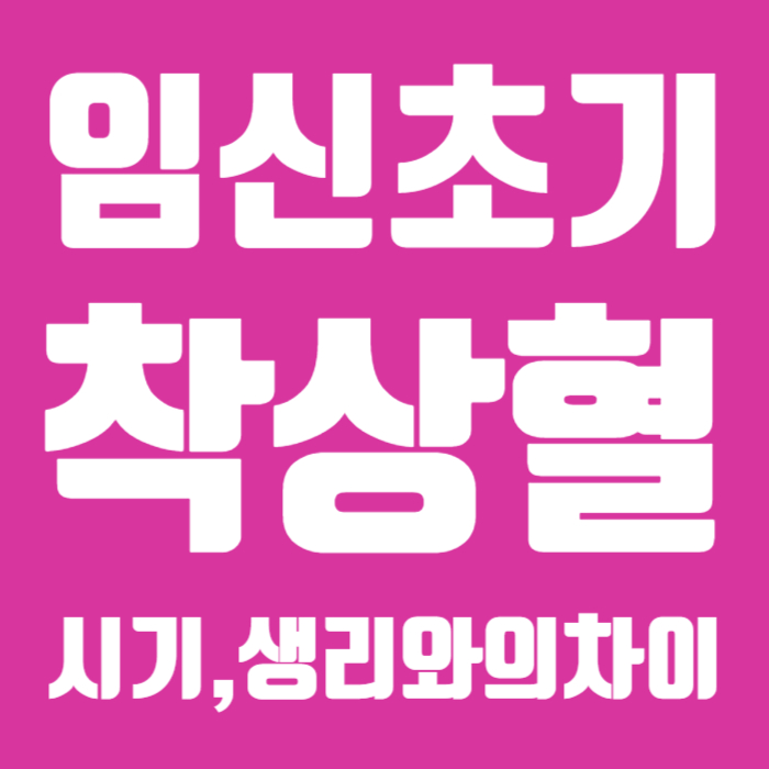 임신초기착상혈