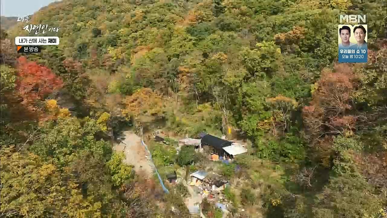 나는 자연인이다.E529.221124p.H264-F1RST.mp4_20221124_194721.509.jpg