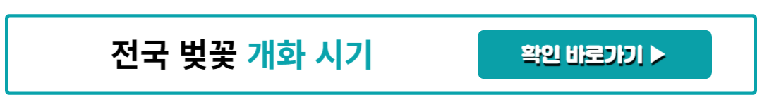 전국 벚꽃 개화 시기