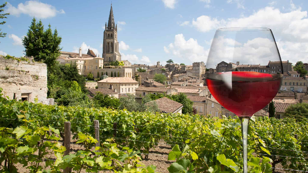 보르도 와인 (Bordeaux)