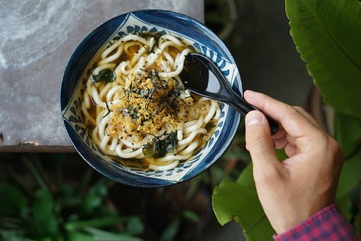  우동 칼로리와 영양정보, 우동면 국물 고명의 특징