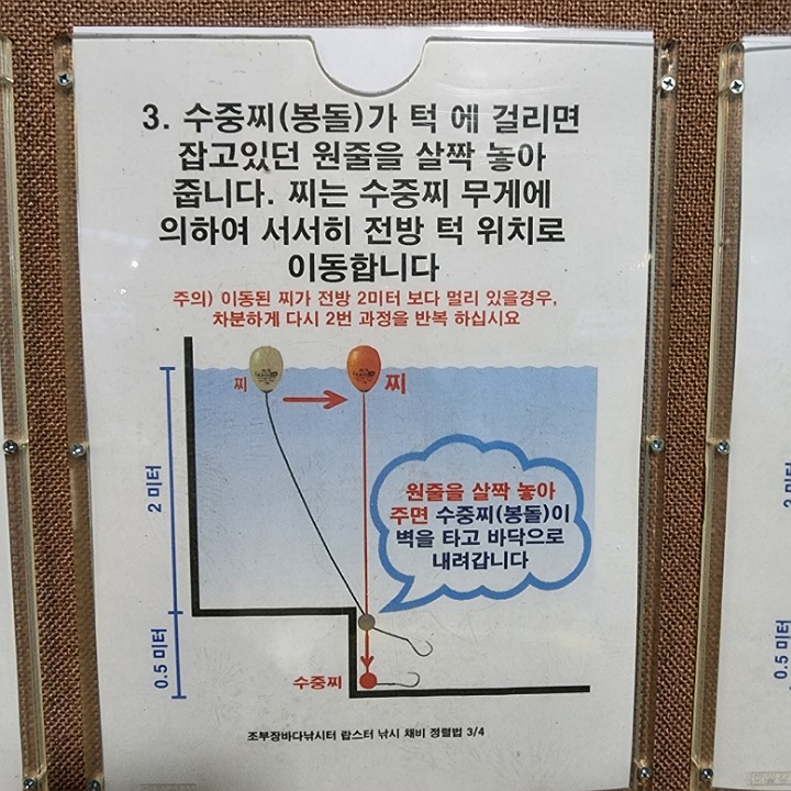 채비정렬