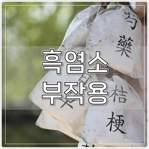  흑염소 부작용 꼭 알아두자!