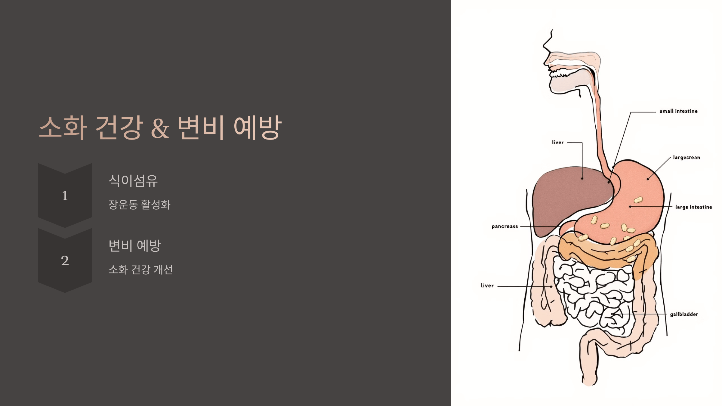 땅콩 사진입니다.