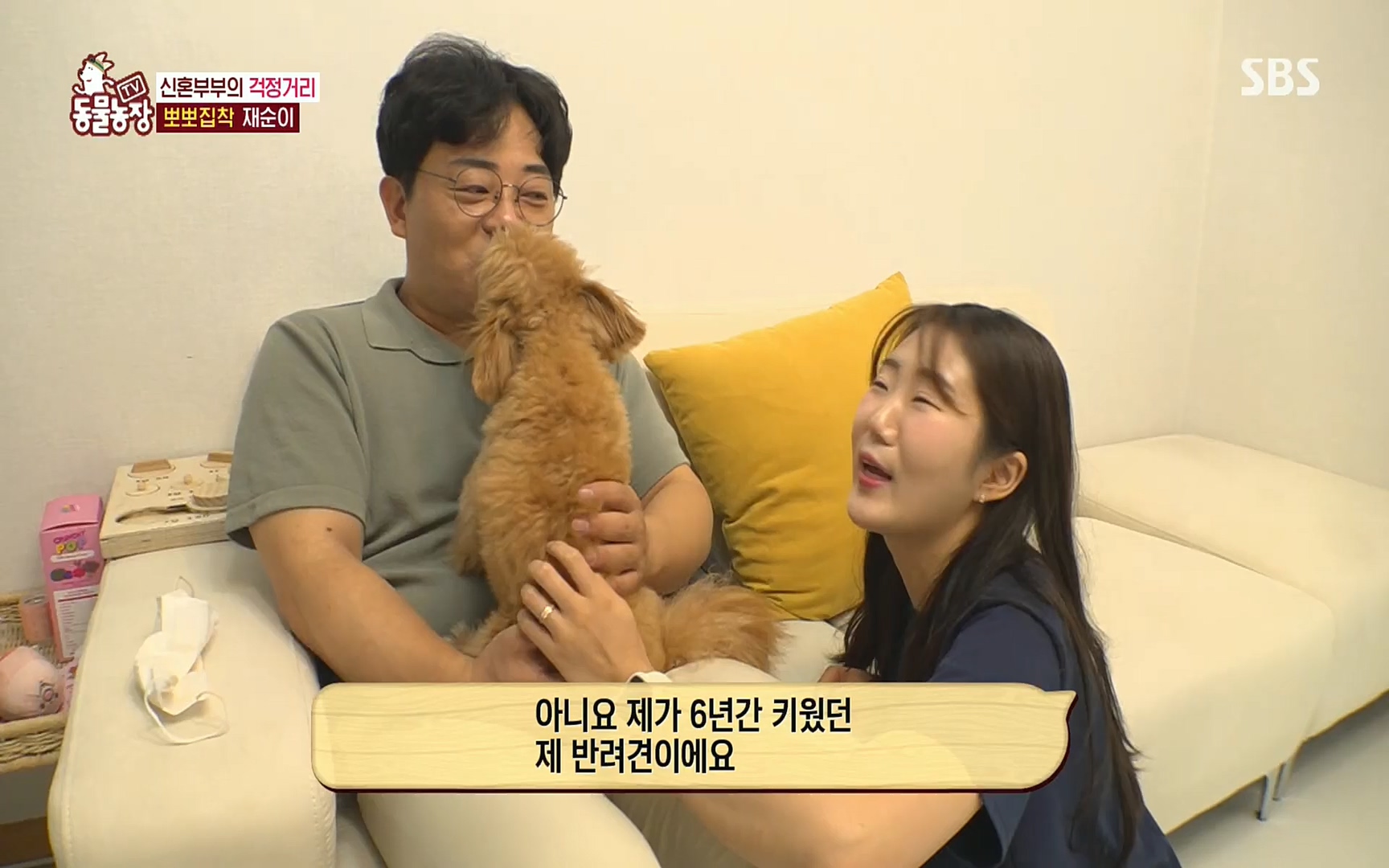 TV 동물농장.E1078.220717p.H264-F1RST.mp4_20220717_151133.811.jpg