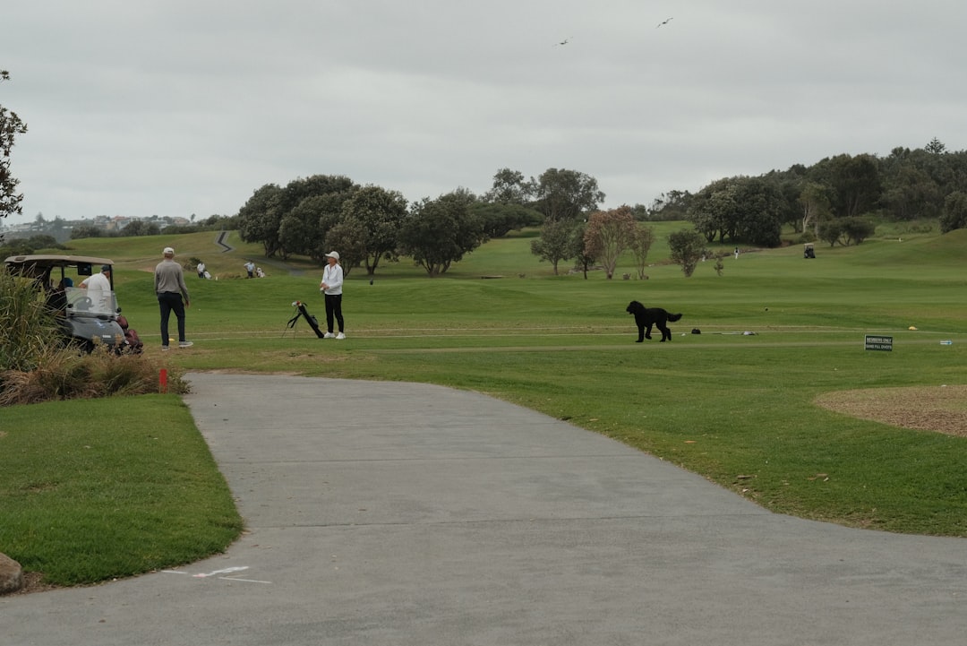 Park golf