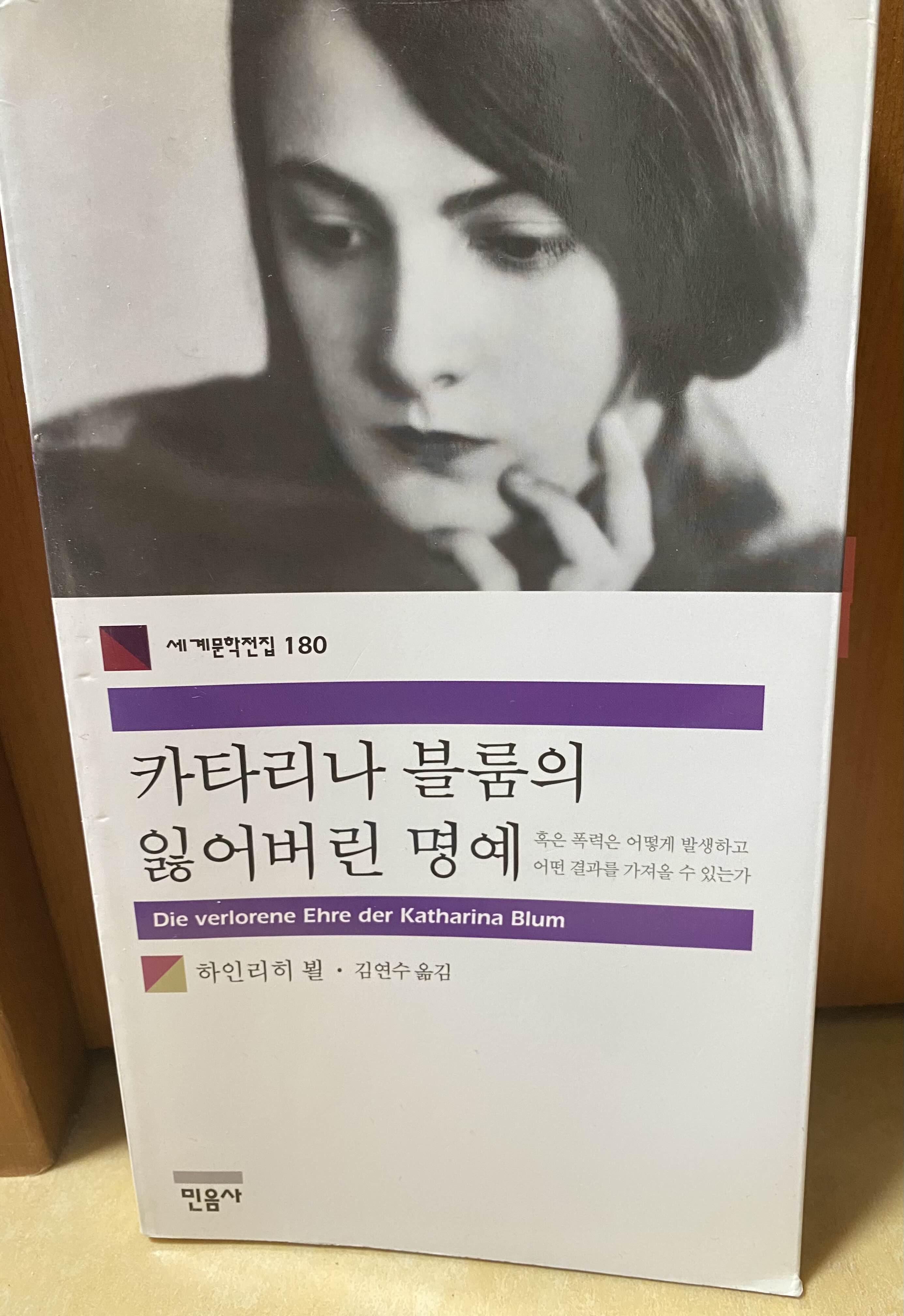  카타리나블룸의 잃어버린 명예