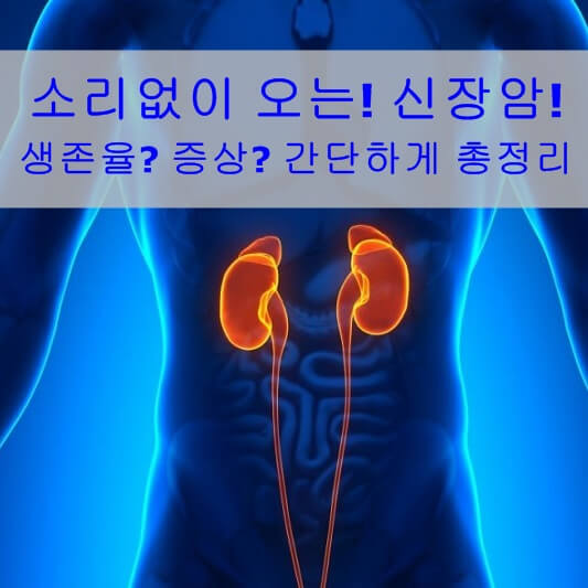 신장암 증상