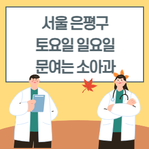 서울 은평구 토요일 일요일 소아과 진료 병원 리스트