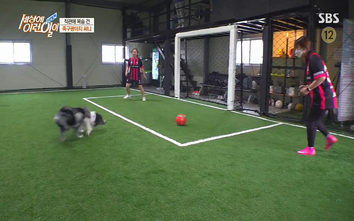 순간포착 세상에 이런일이.E1188.220713p-NEXT.mp4_20220713_175338.163.jpg