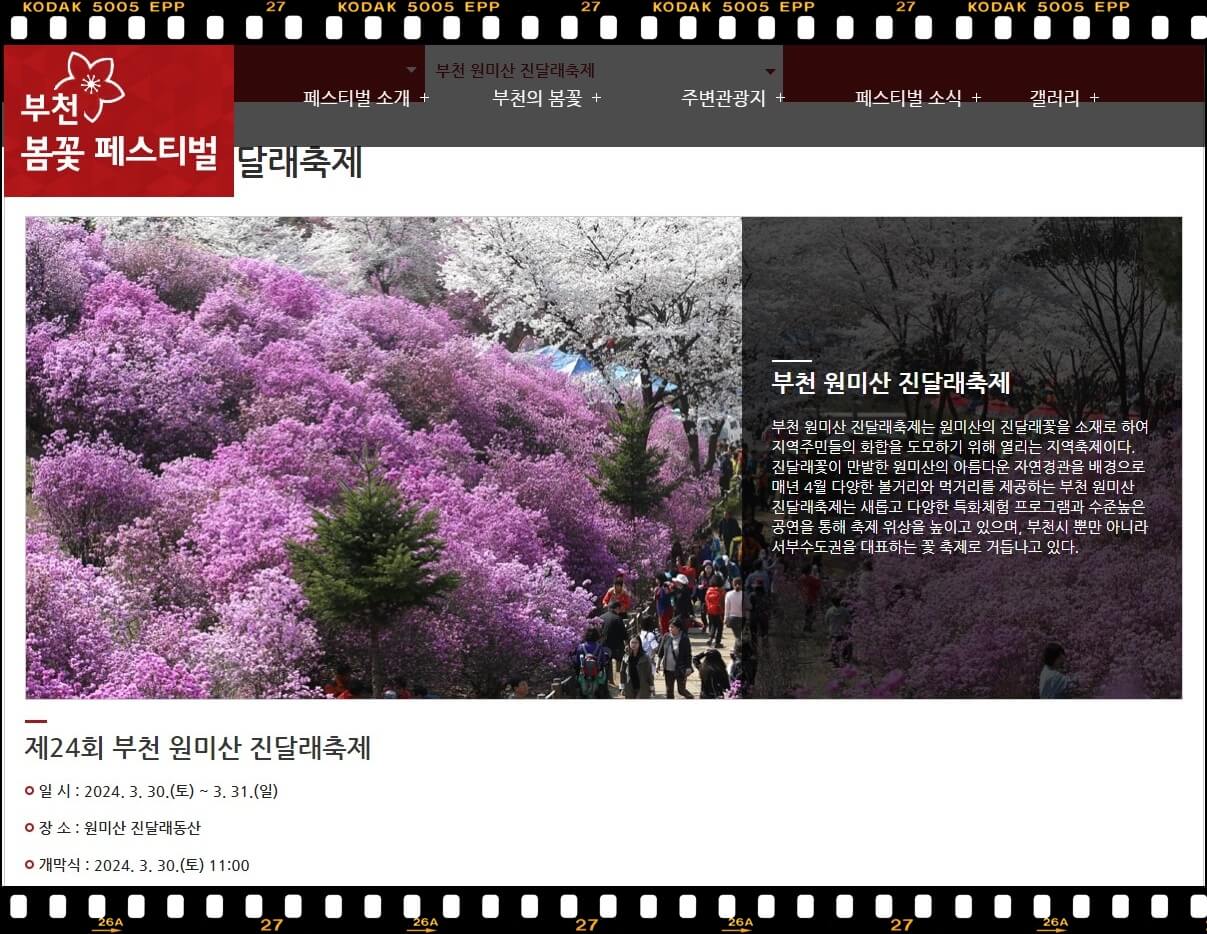 부천 원미산 진달래 축제(출처 : 공식 홈페이지)