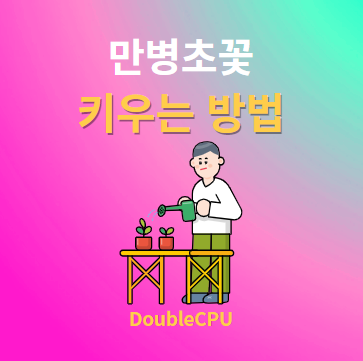 만병초꽃 키우기 물주기