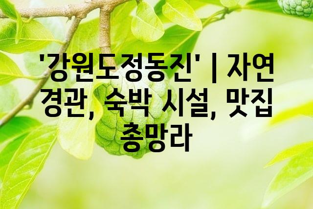 랜덤225