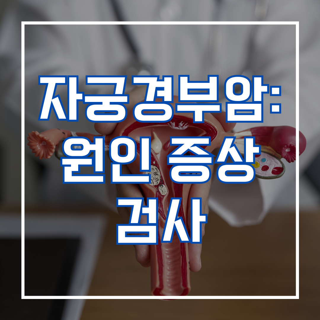 자궁경부암: 원인 증상 검사