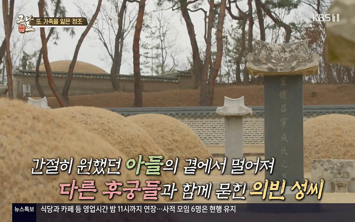 역사저널 그날.E351.220314p-NEXT.mp4_20220420_192256.375.jpg