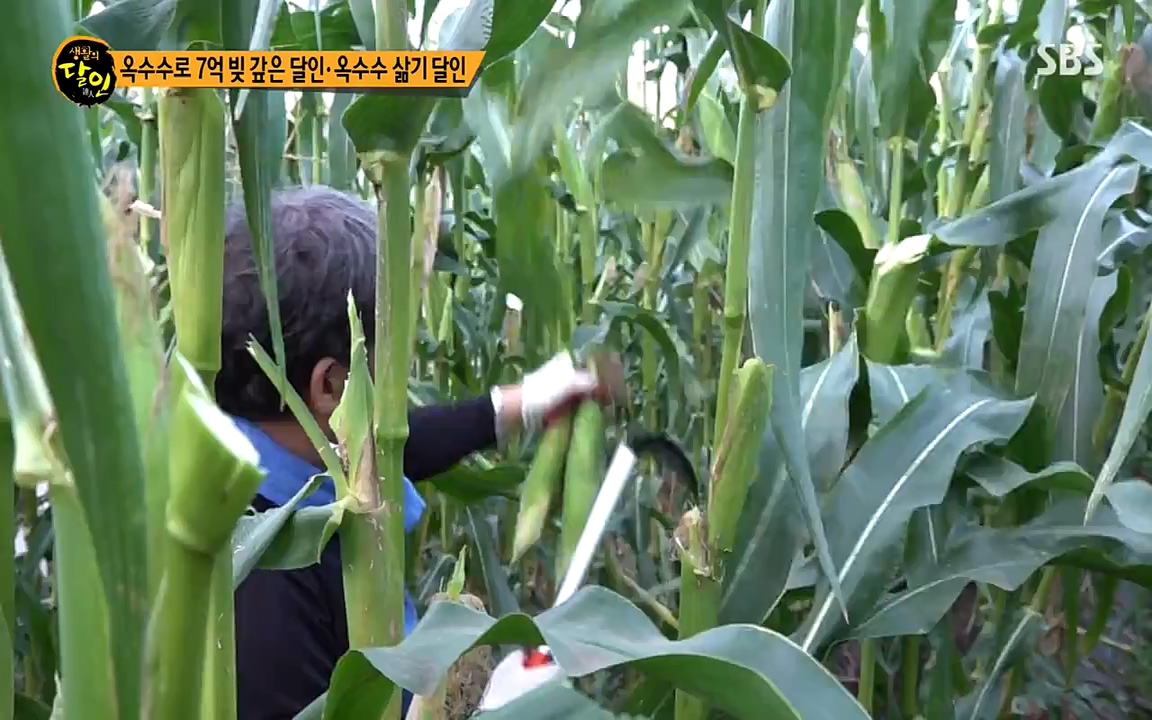 생활의 달인.E854.220802p-NEXT.mp4_20220802_200445.116.jpg