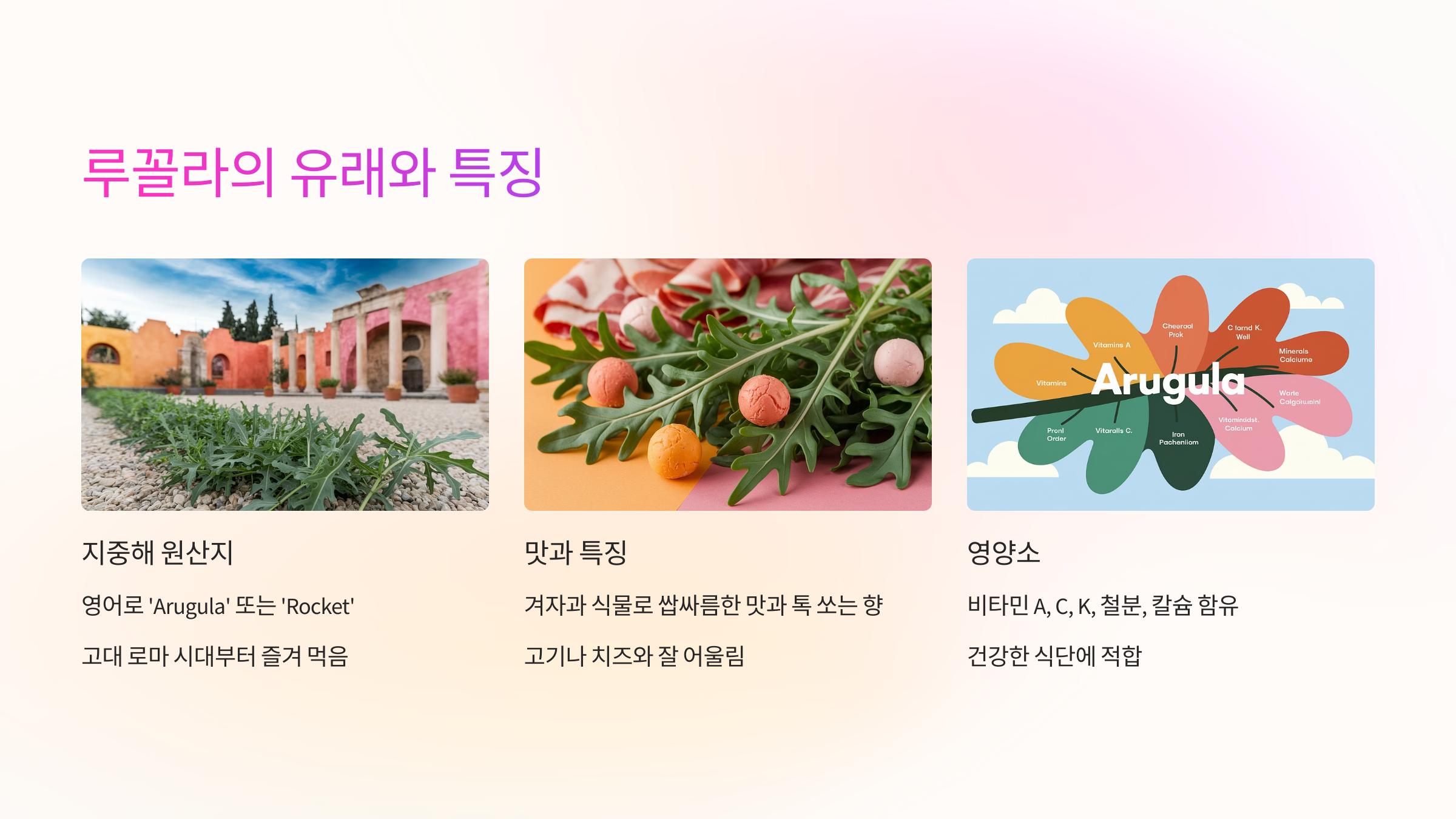 🌱 루꼴라의 유래와 특징