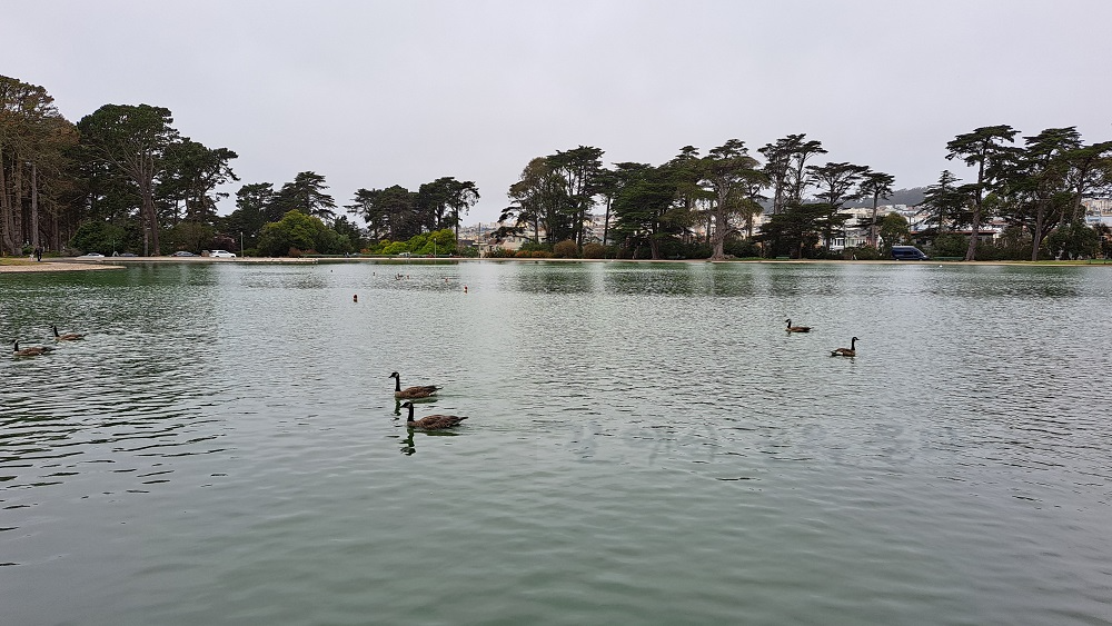 금문공원(Golden Gate Park)