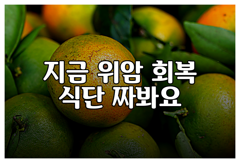 지금 위암 회복 식단 짜봐요