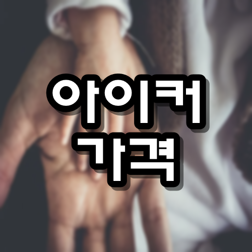  아이커 가격