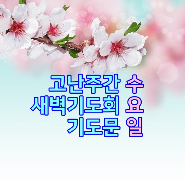  고난주간 수요일 새벽기도회 기도문