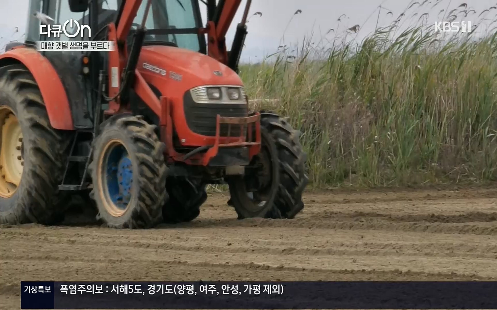 다큐 On.E151.220805p.H264-F1RST.mp4_20220806_193411.355.jpg