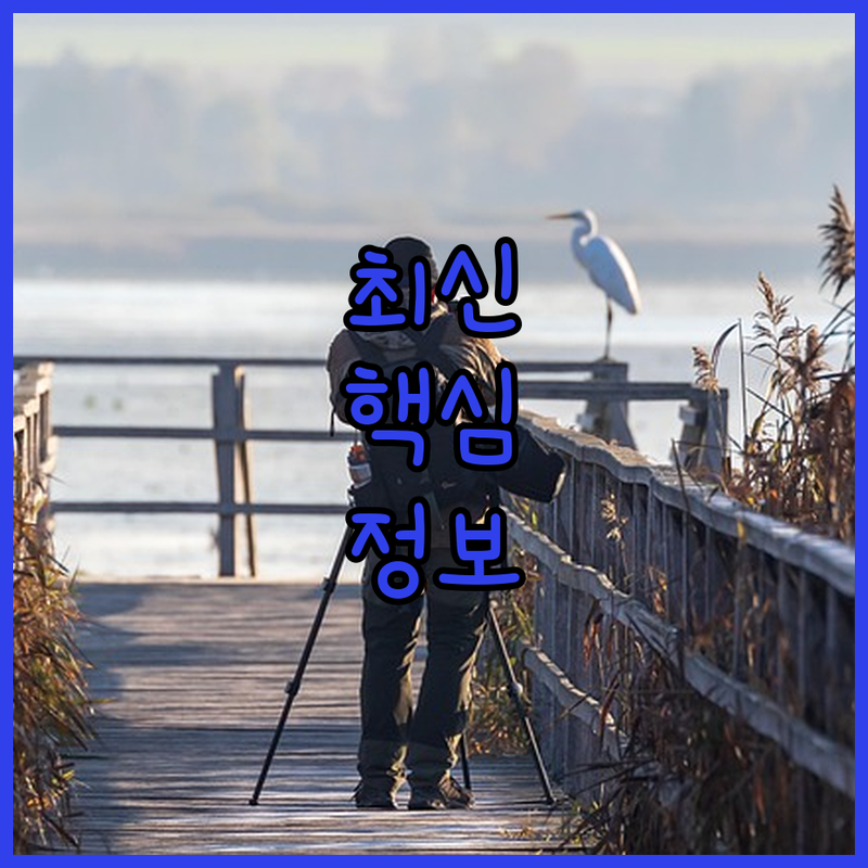 로빈후드 골드, MZ세대 투자자를 사