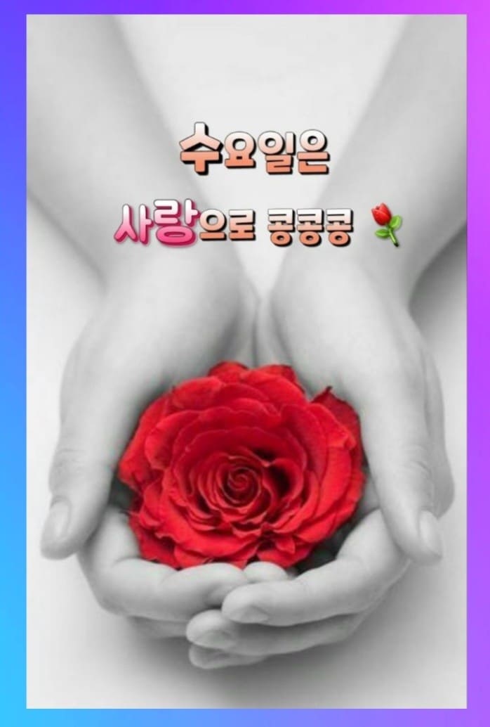 겨울 아침 인사말 카톡 좋은 글귀 문자 이미지 모음