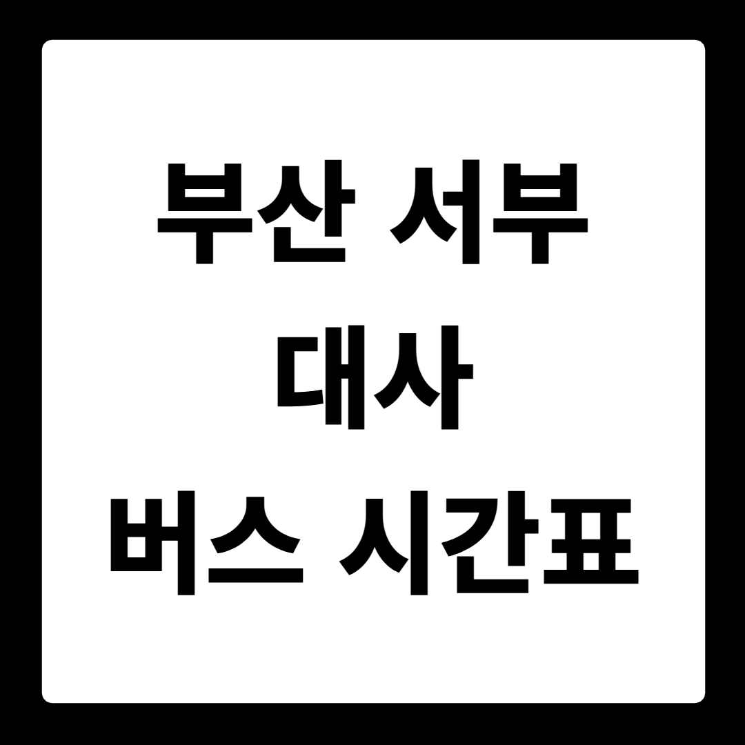 부산 서부 대사 버스 시간표