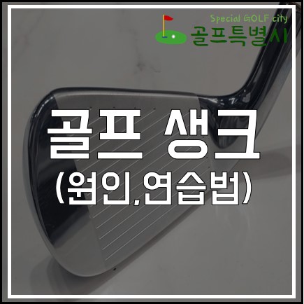 골프 생크병 치료법