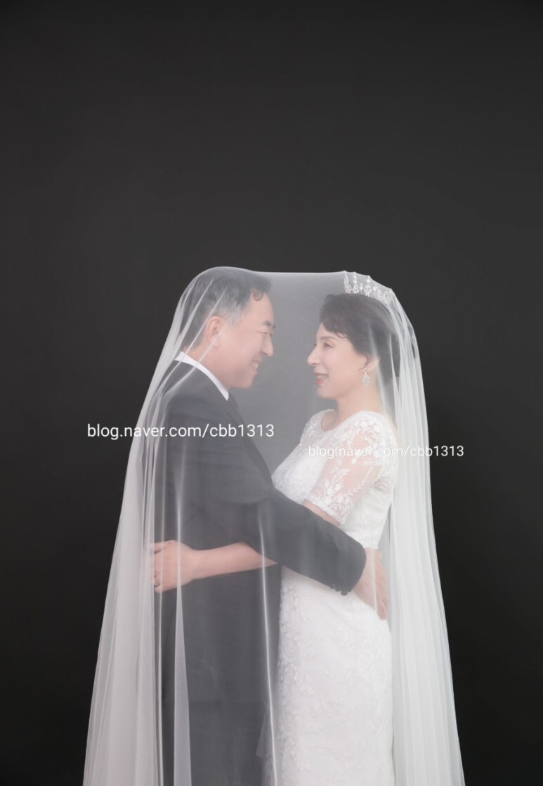 스텔라웨딩 이미지